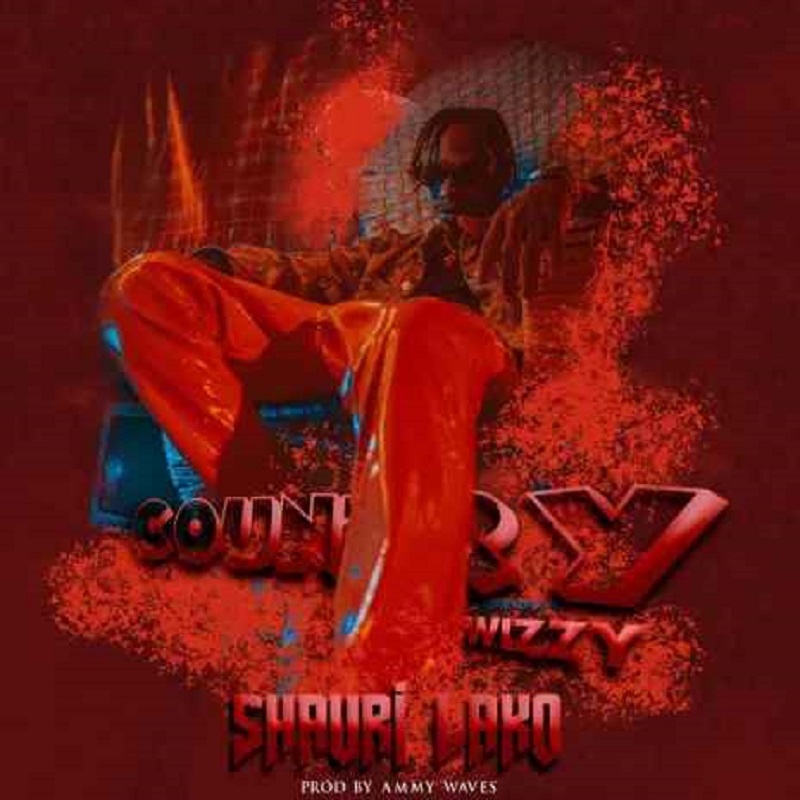 Coutry Wizzy - Shauri Lako Mp3 Download
