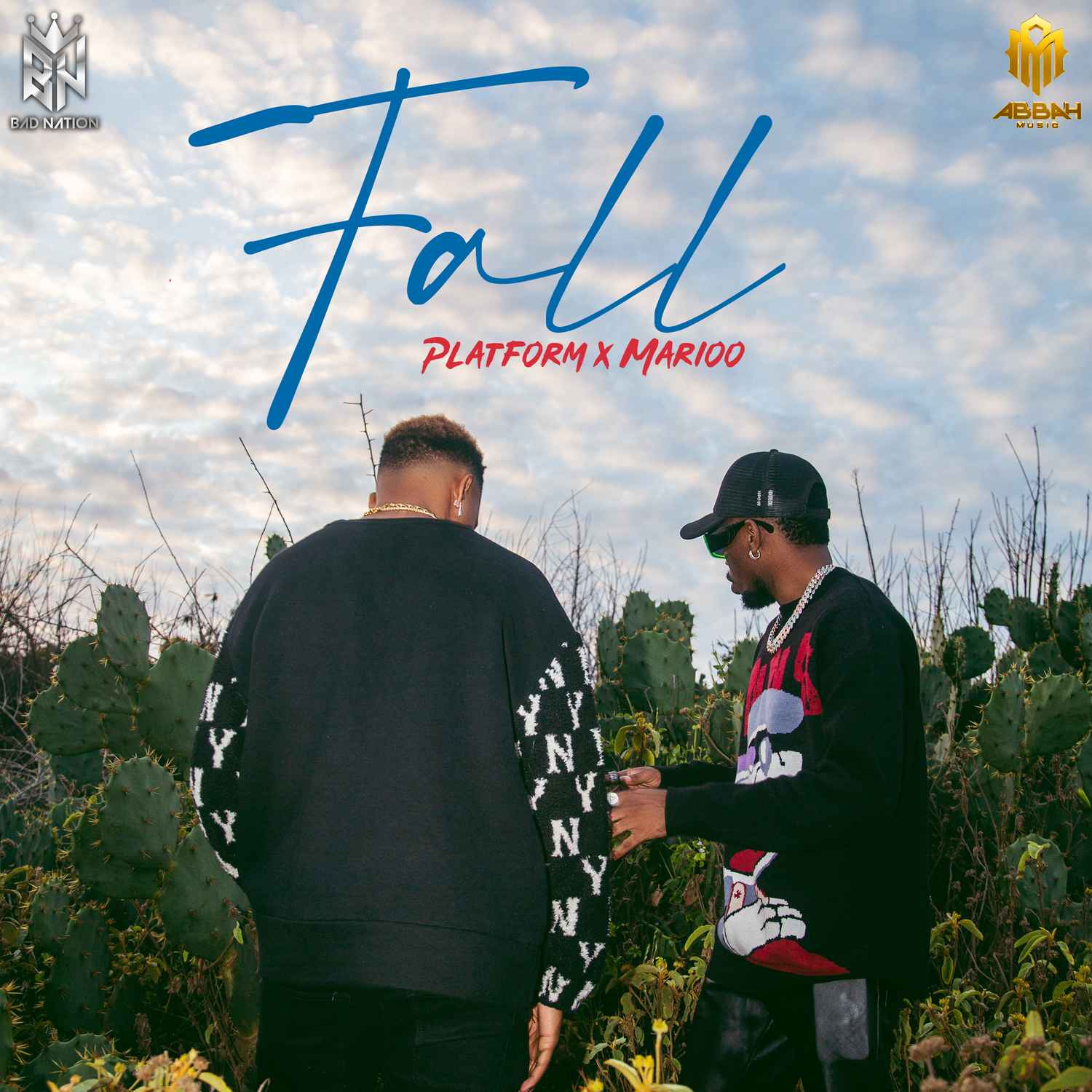 Platform ft Marioo - Fall Mp3 Download