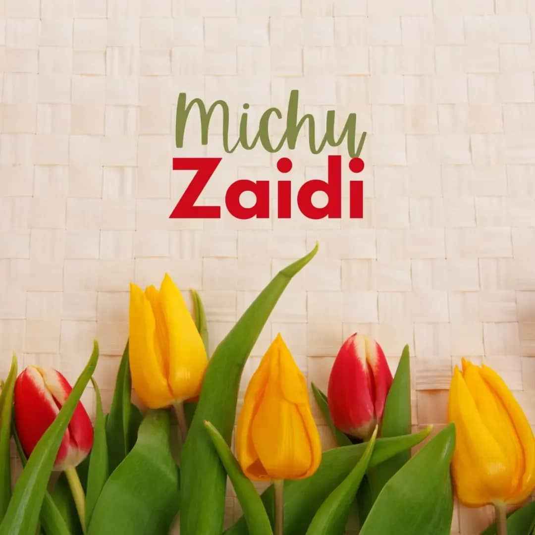 Michu - Zaidi Mp3 Download