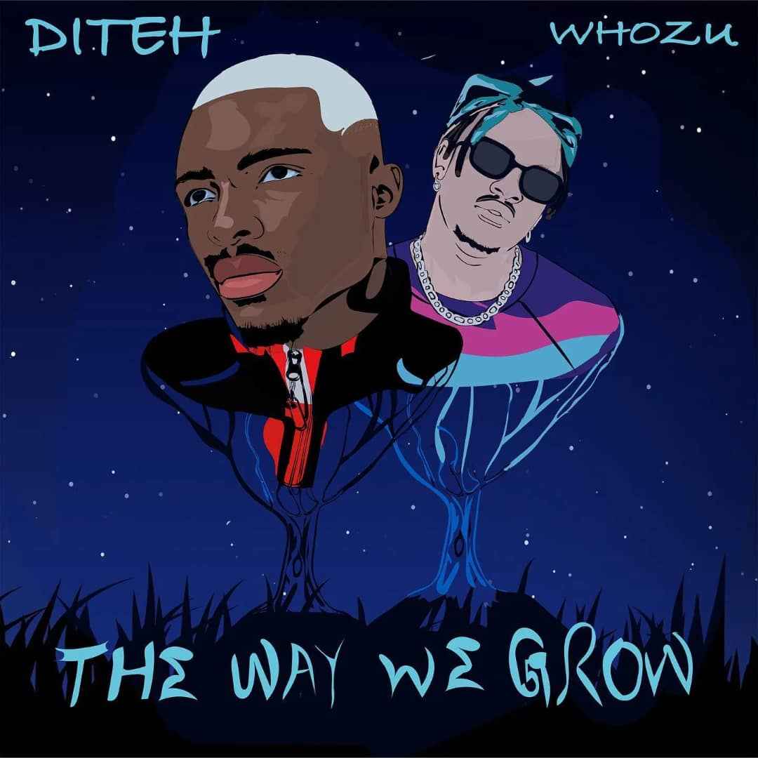 Diteh ft Whozu - The Way We Grow (Remix) Mp3 Download