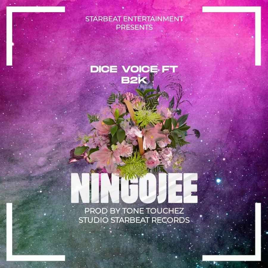Dice Voice ft B2k Mnyama - Ningoje Mp3 Download