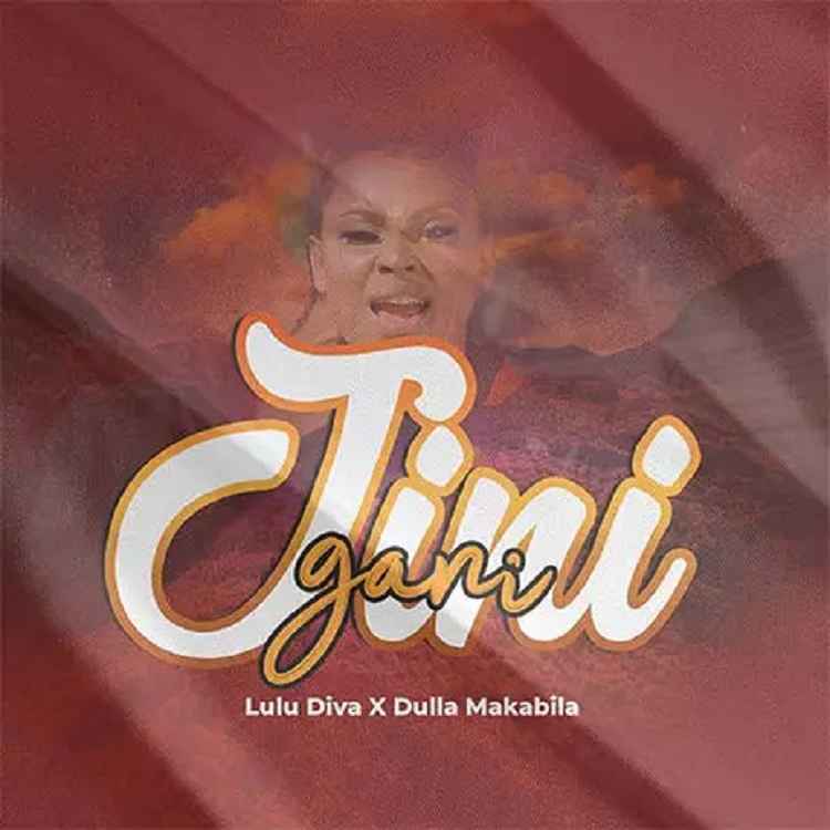 Lulu Diva ft Dulla Makabila - Jini Gani Mp3 Download