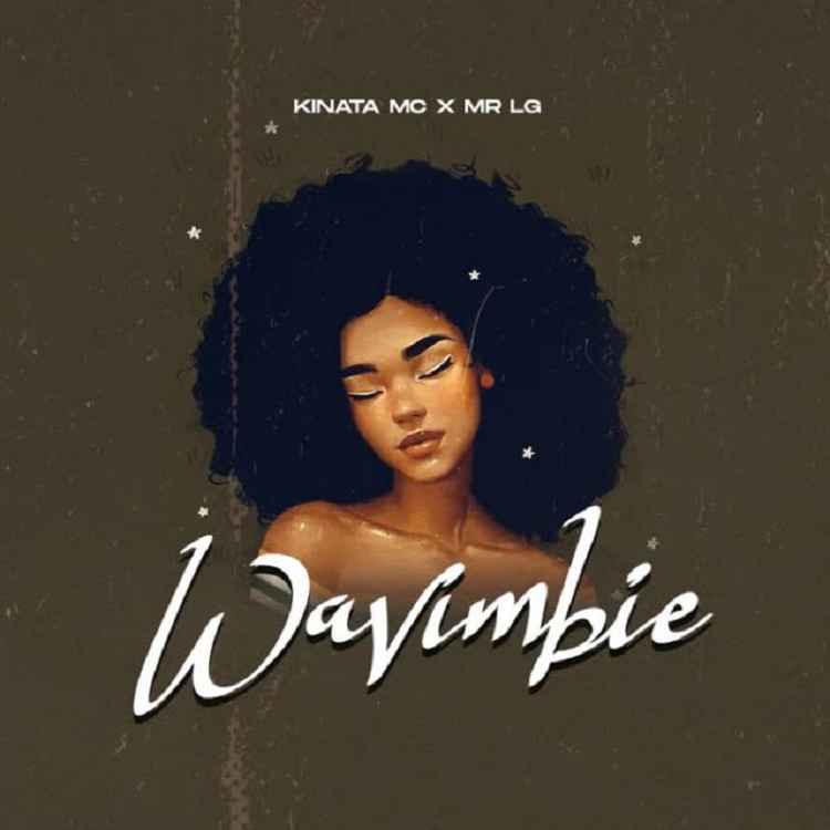 Kinata Mc x Mr Lg - Wavimbie Mp3 Download