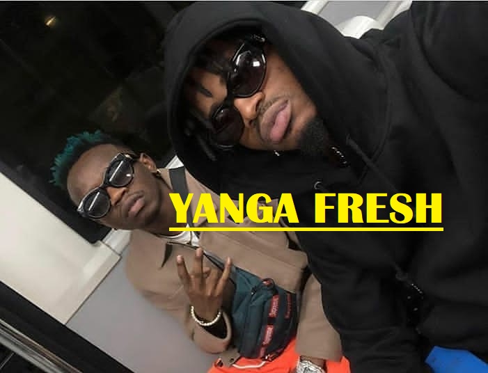 Diamond ft Marioo -  Fresh + Yanga Tumu = Yanga Fresh