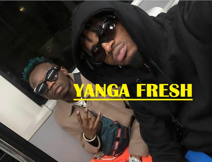 Diamond ft Marioo - Fresh + Yanga Tumu = Yanga Fresh