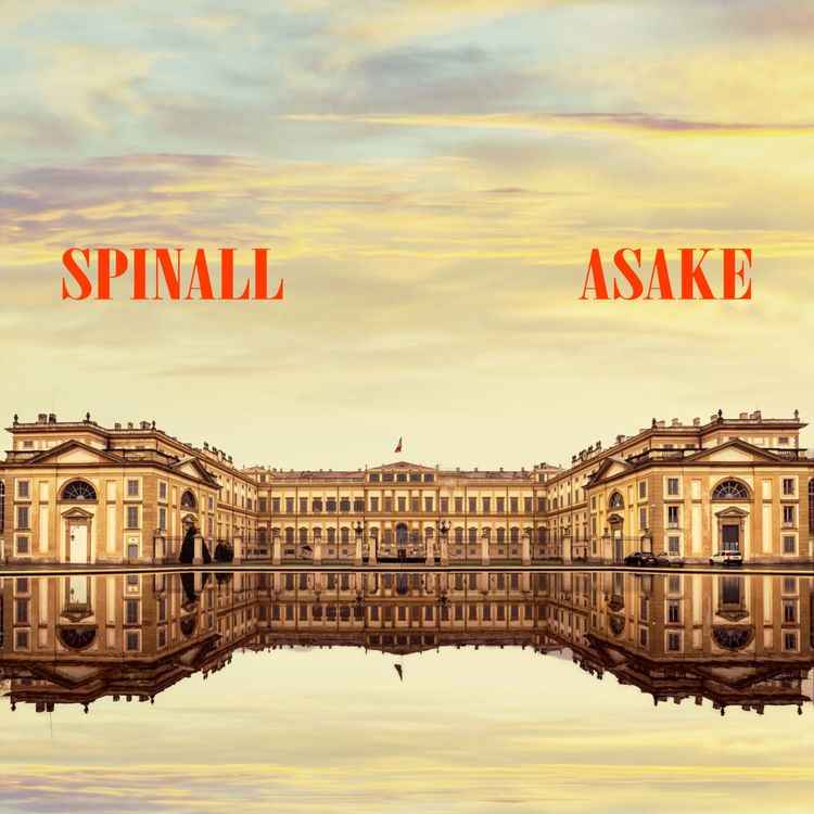 SPINALL ft Asake - PALAZZO Mp3 Download