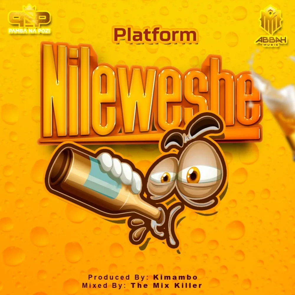 Platform TZ - Nileweshe Mp3 Download