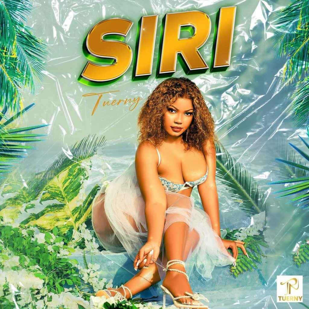 Tuerny - Siri Mp3 Download