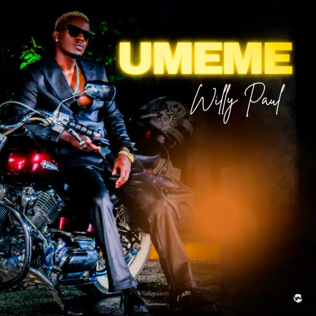 Willy Paul - Umeme Mp3 Download