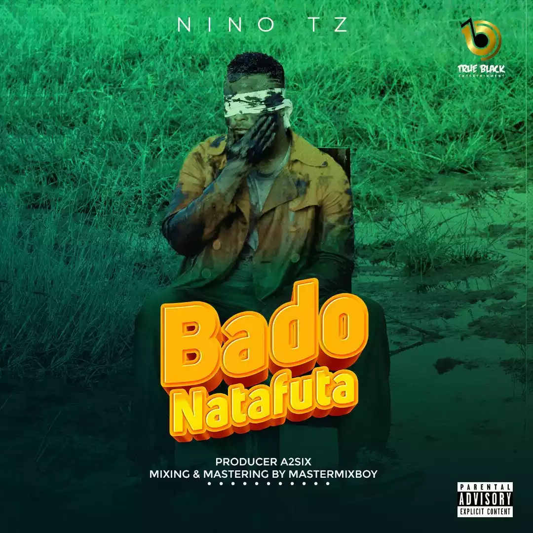 Nino Tz - Bado Natafuta Mp3 Download