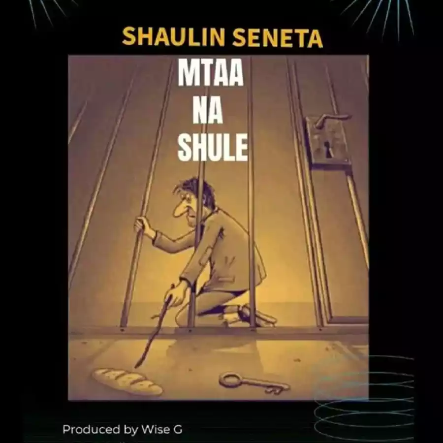 Shaulin Seneta - Mtaa na Shule Mp3 Download