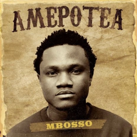 Amepotea Amepotea