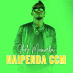 Naipenda CCM