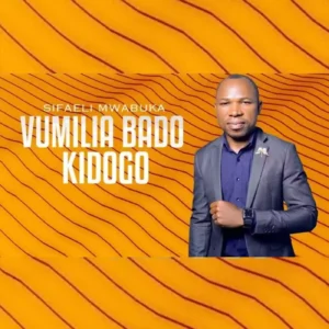 Vumilia Bado Kidogo