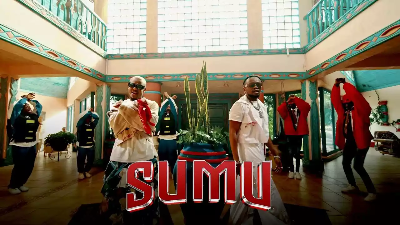 Alikiba ft Marioo Sumu Video Download