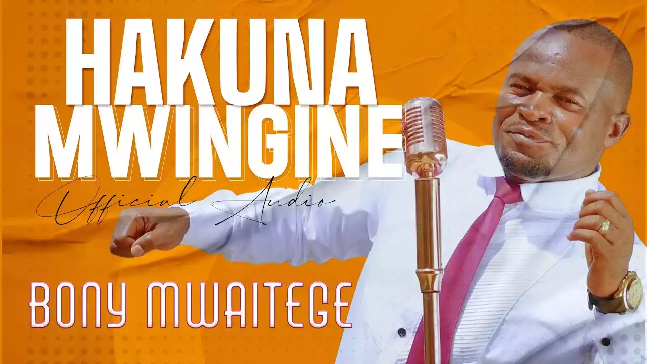 Bony Mwaitege Hakuna Mwingine Mp3 Download