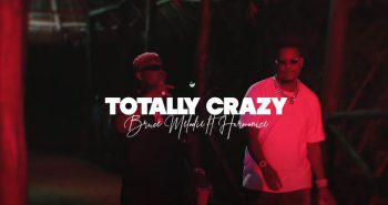 Bruce Melodie Totally Crazy ft. Harmonize VIDEO