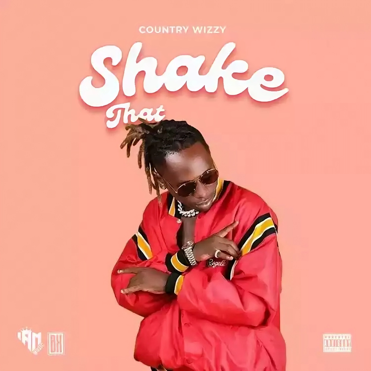 Country Wizzy Shake That Mp3 Download 2