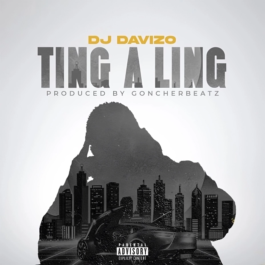 DJ Davizo Ting A Ling Mp3 Download