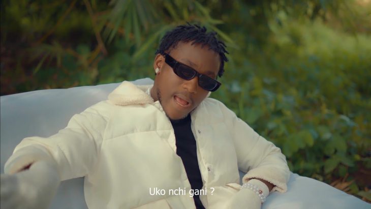 AcousticVideo Dayoo - Nikuone 1 Dayoo cv