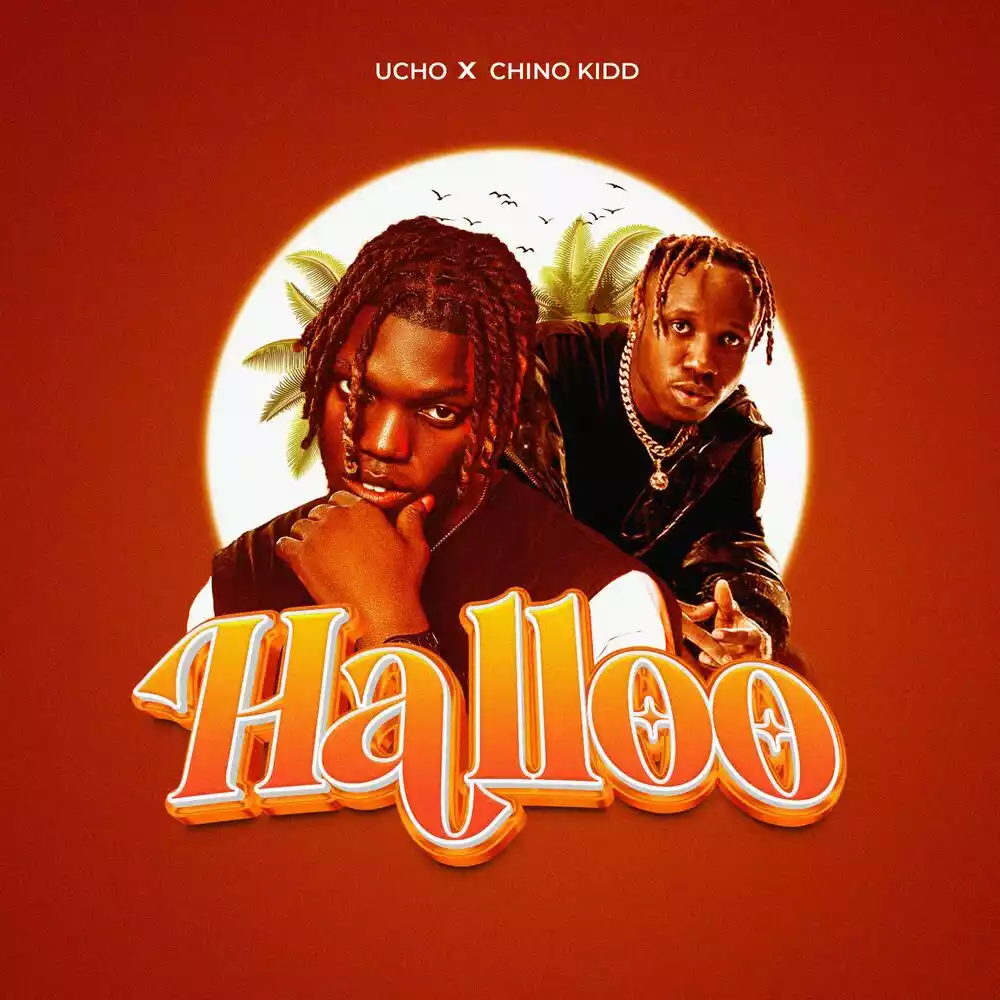 Halloo Ucho Chino Kidd