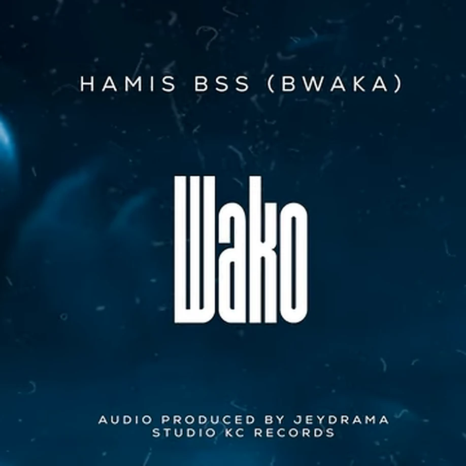 Hamis BSS Wako Mp3 Download