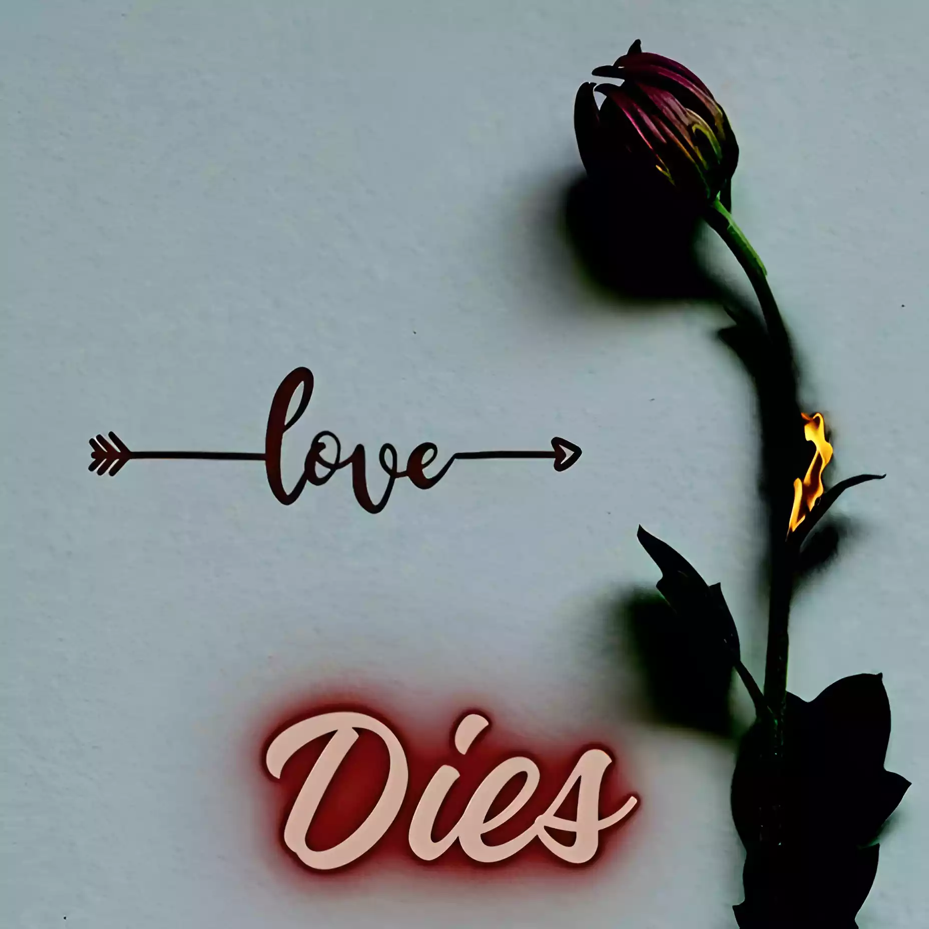 Love Dies By Toxic Fuvu