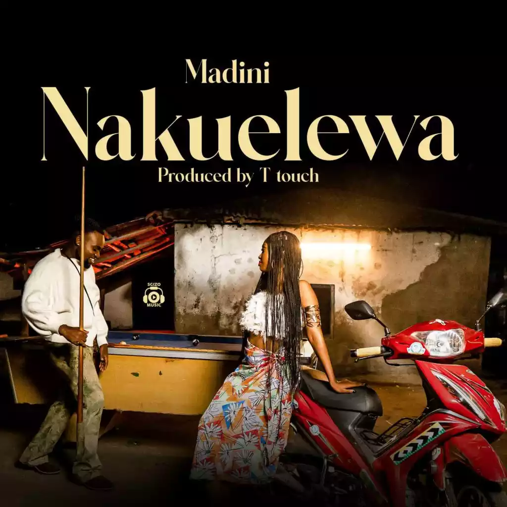 Madini Nakuelewa Mp3 Download