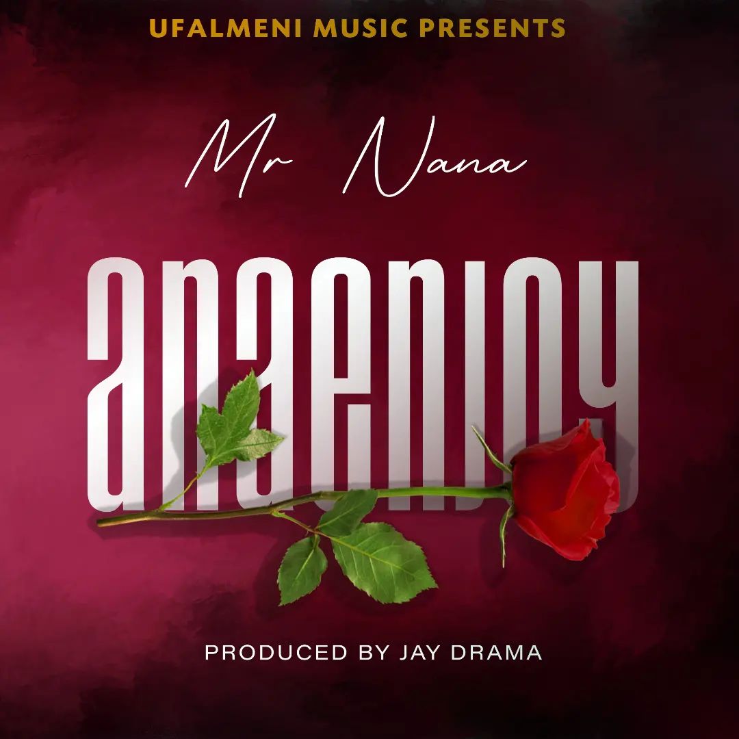Mr Nana Anaenjoy Mp3 Download