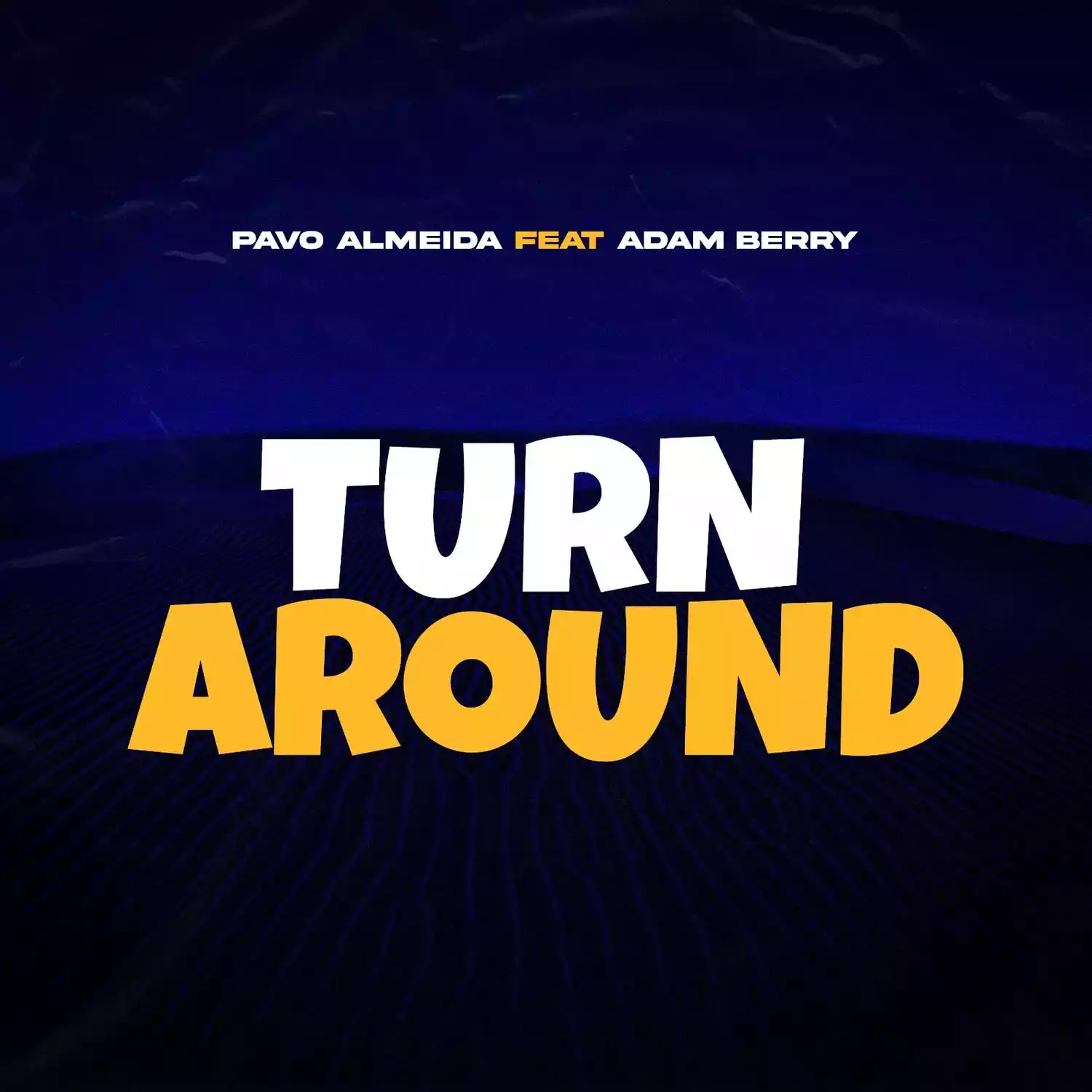 Pavo Almeida ft Adam Berry Turn Around Mp3 Download