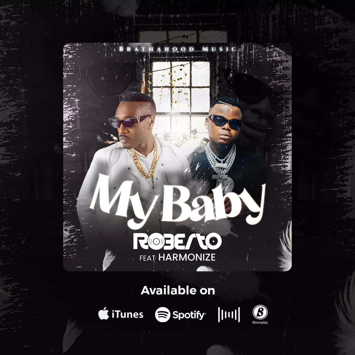 Roberto Ft. Harmonize My Baby Visualizer