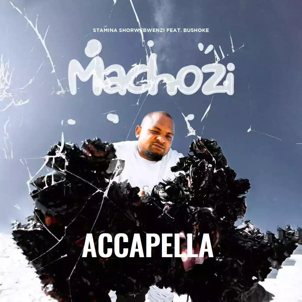 Stamina ft Bushoke Machozi Acapella Mp3 Download
