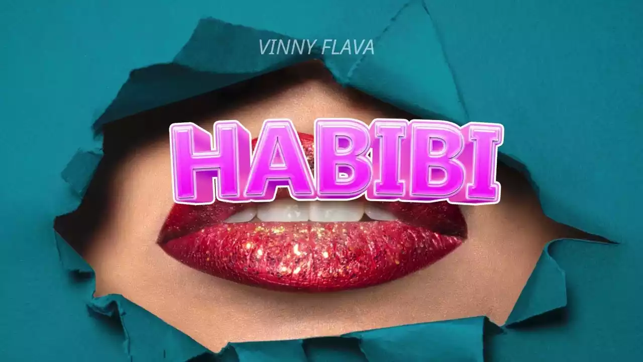 Vinny Flava Habibi Mp3 Download