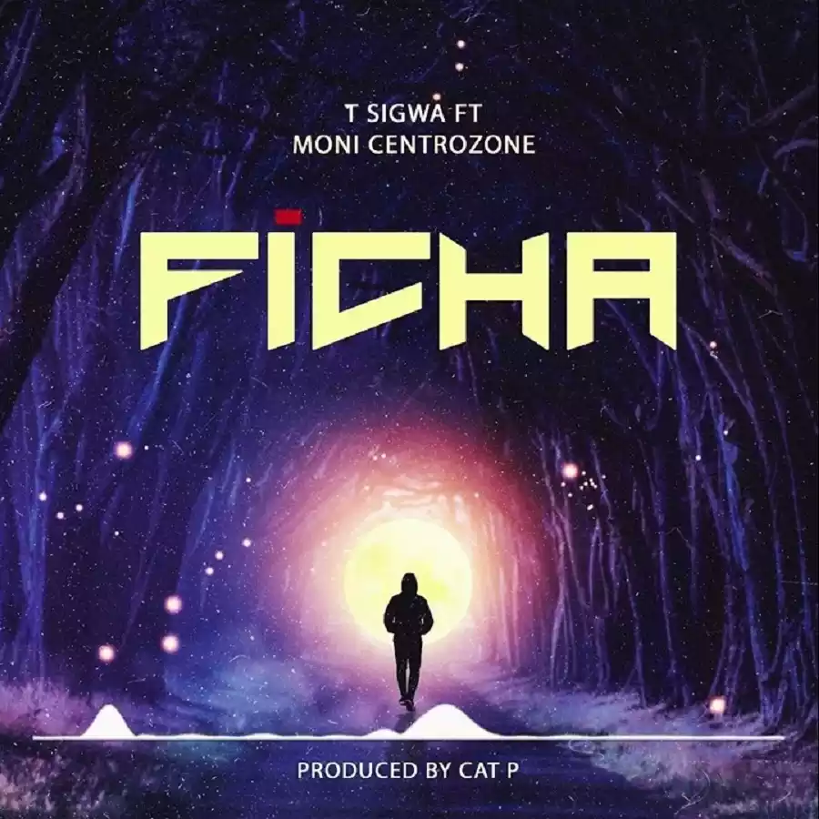 ficha cover