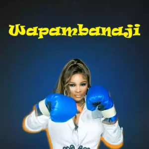 Wapambanaji Playlist