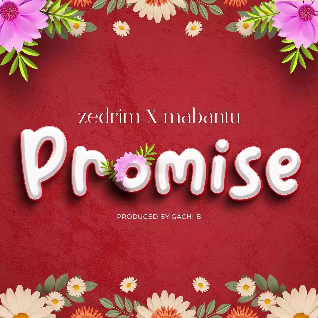 promise zedrim