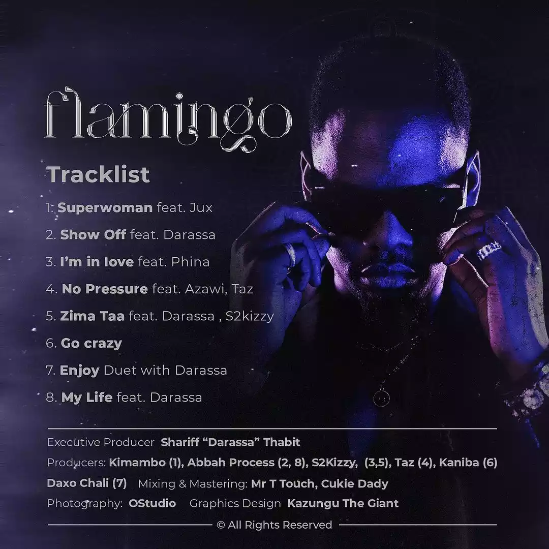 Flamingo EP Album By Ben Pol