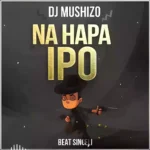 Na Hapa Ipo Singeli