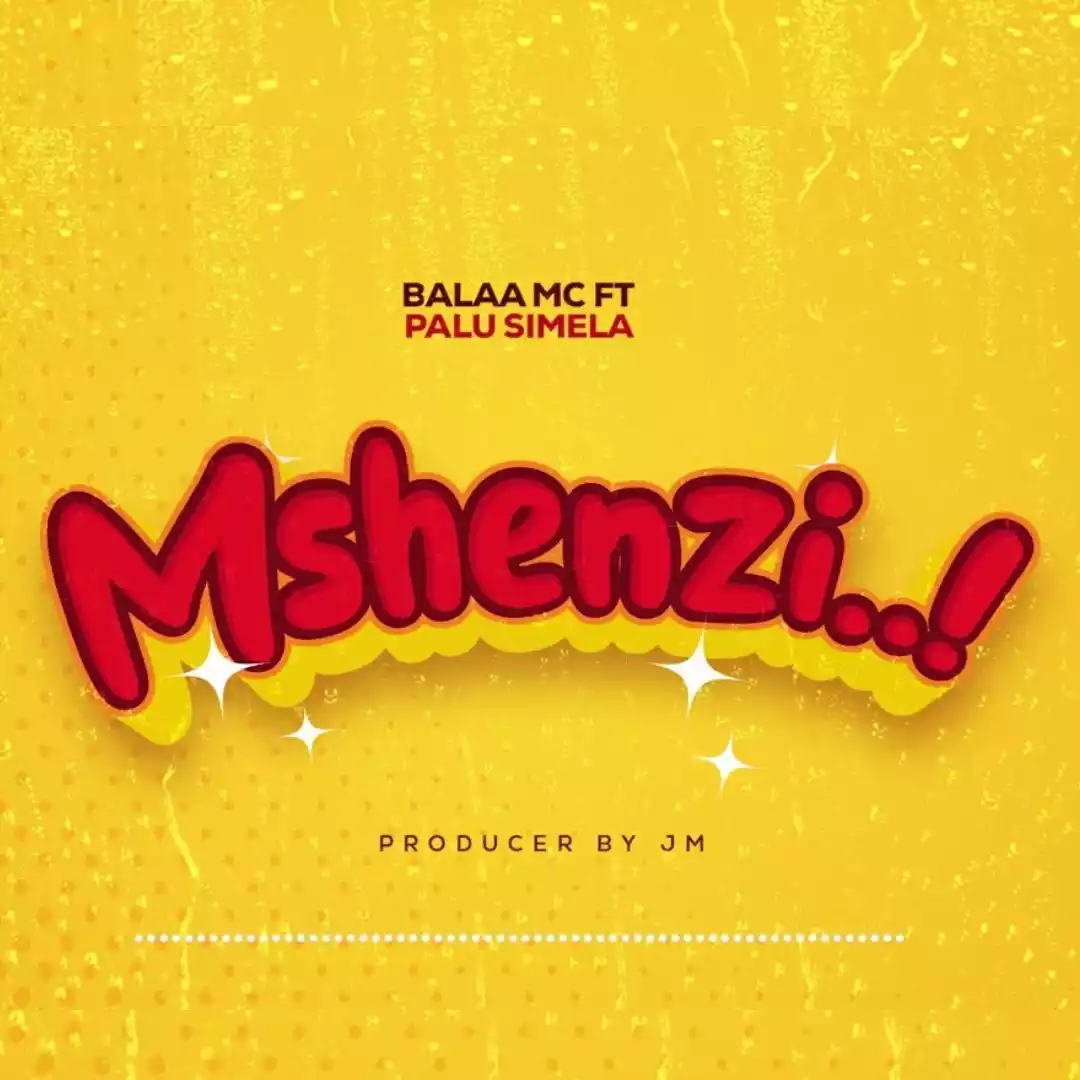 Mshenzi By Palu Simela
