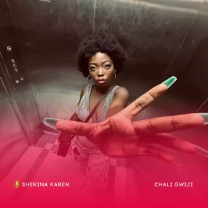 Chali Gwiji