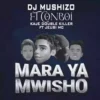 Mara ya Mwisho