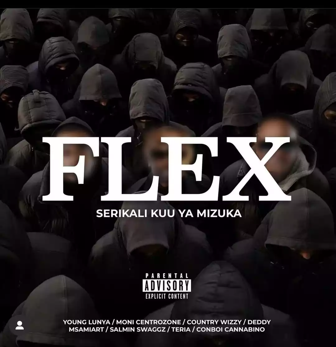 Flex By Serikali Kuu ya Mizuka