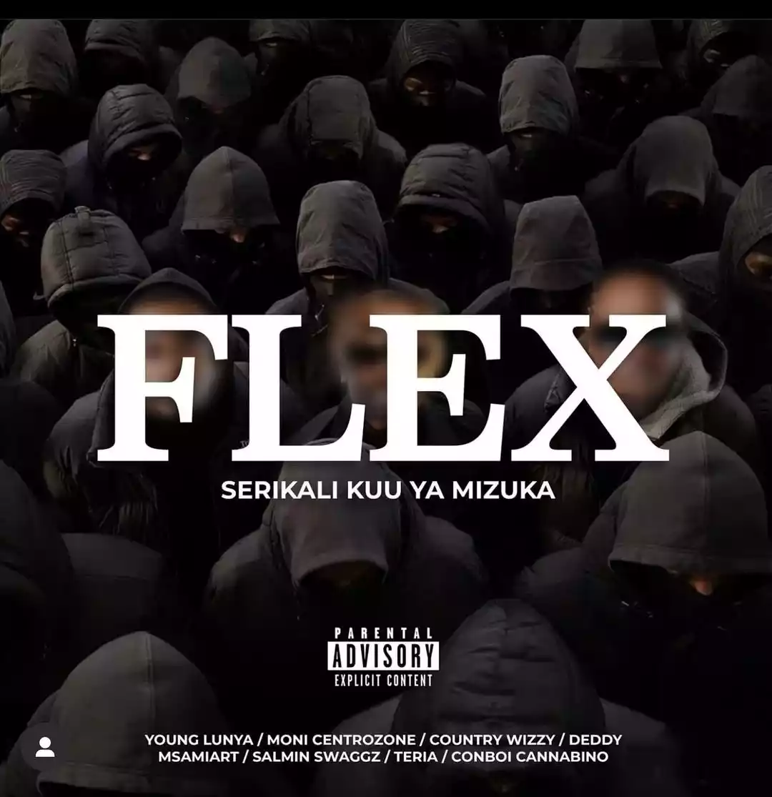 Serikali Kuu ya Mizuka