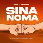 Sina Noma