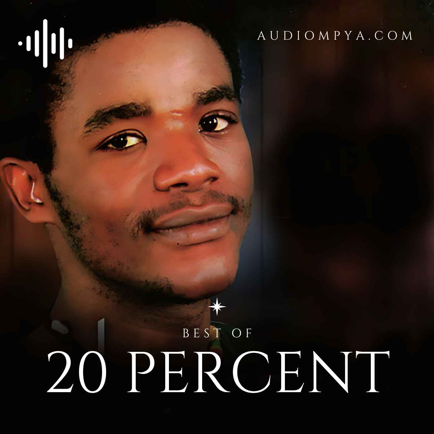 20 Percent