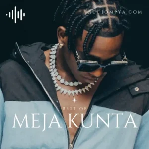 The Best of Meja Kunta Singeli Playlist