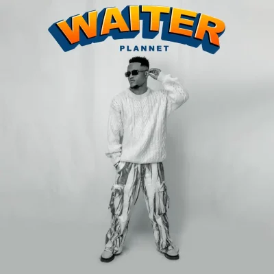 Plannet TZ