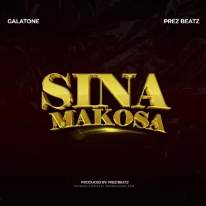 Sina Makosa
