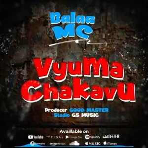 Vyuma Chakavu