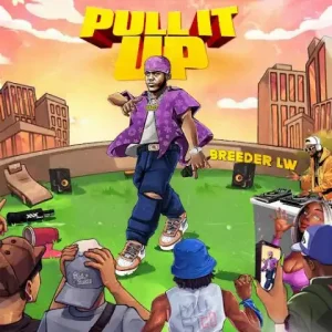 Pull It Up
